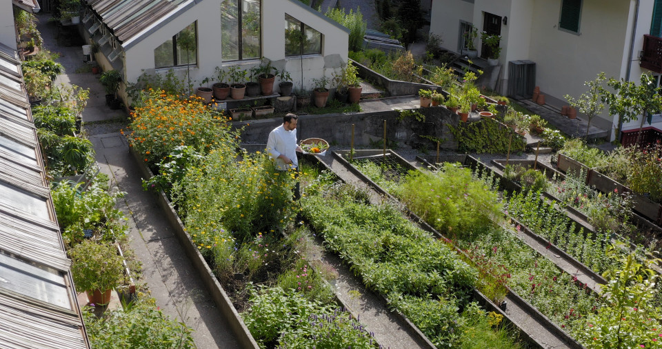 Garden with fresh herbs, Grandhotel Giessbach